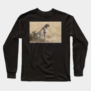 Looking About, Cheetah, Maasai Mara, Kenya Long Sleeve T-Shirt